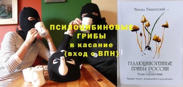apvp Алзамай