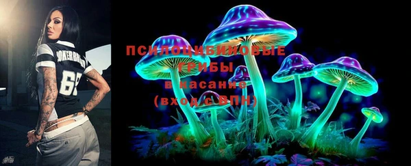 apvp Алзамай