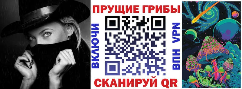 Псилоцибиновые грибы прущие грибы  магазин  наркотиков  мега ссылки  Ипатово 